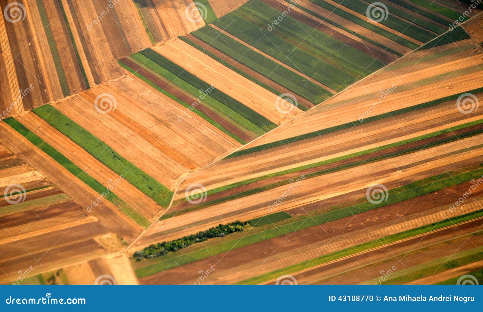 austrian cultivated land seen from a plane