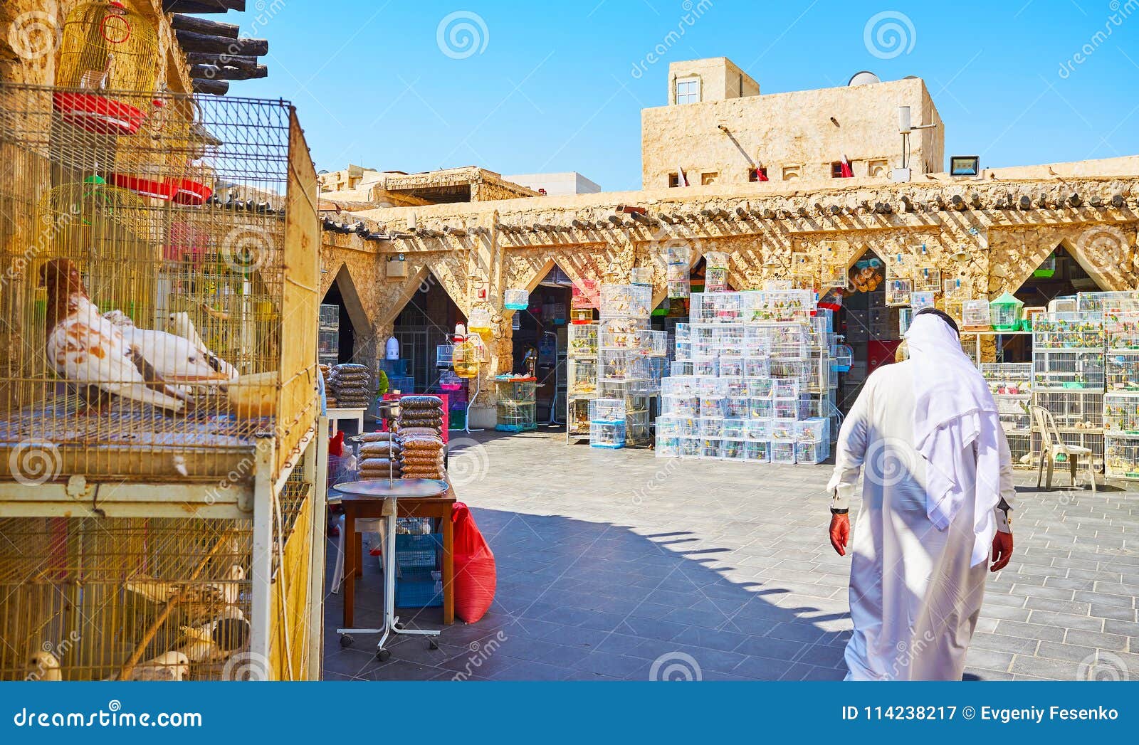 Choose The Pet Birds Souq Waqif Doha Qatar Editorial Photography Image Of Parrot Bird 114238217