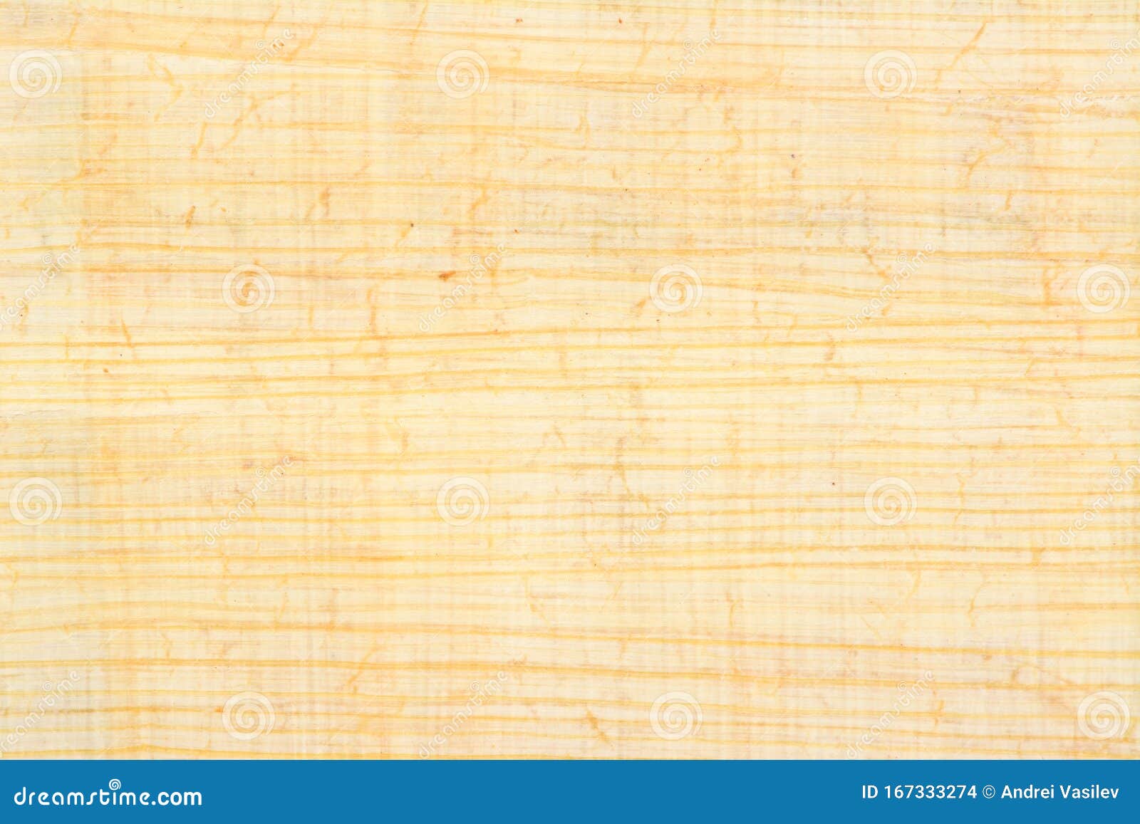 Authentic Egypt Papyrus Paper Background And Texture Number 35. Closeup