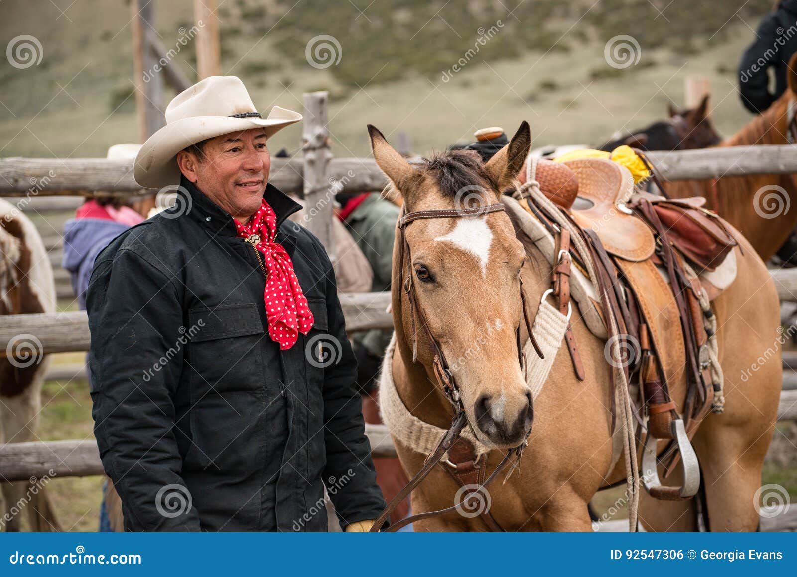 western cowboy with saddled buckskin horse ready to go roundup horses