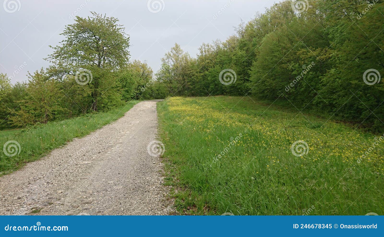 authentic unedited photo of italians tuscany region