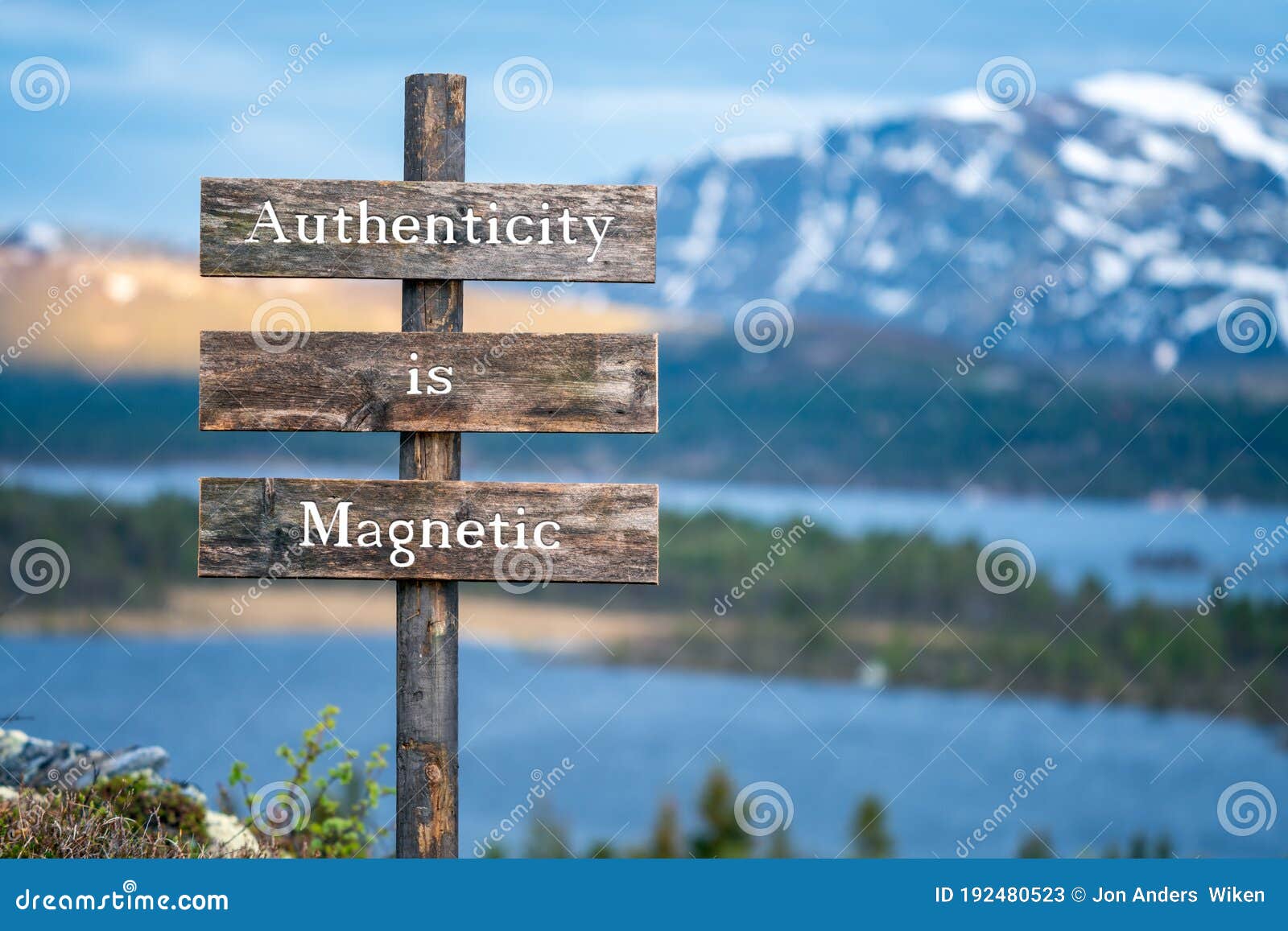 authenticity is magnetic text on wooden signpost outdoors in landscape scenery during blue hour.