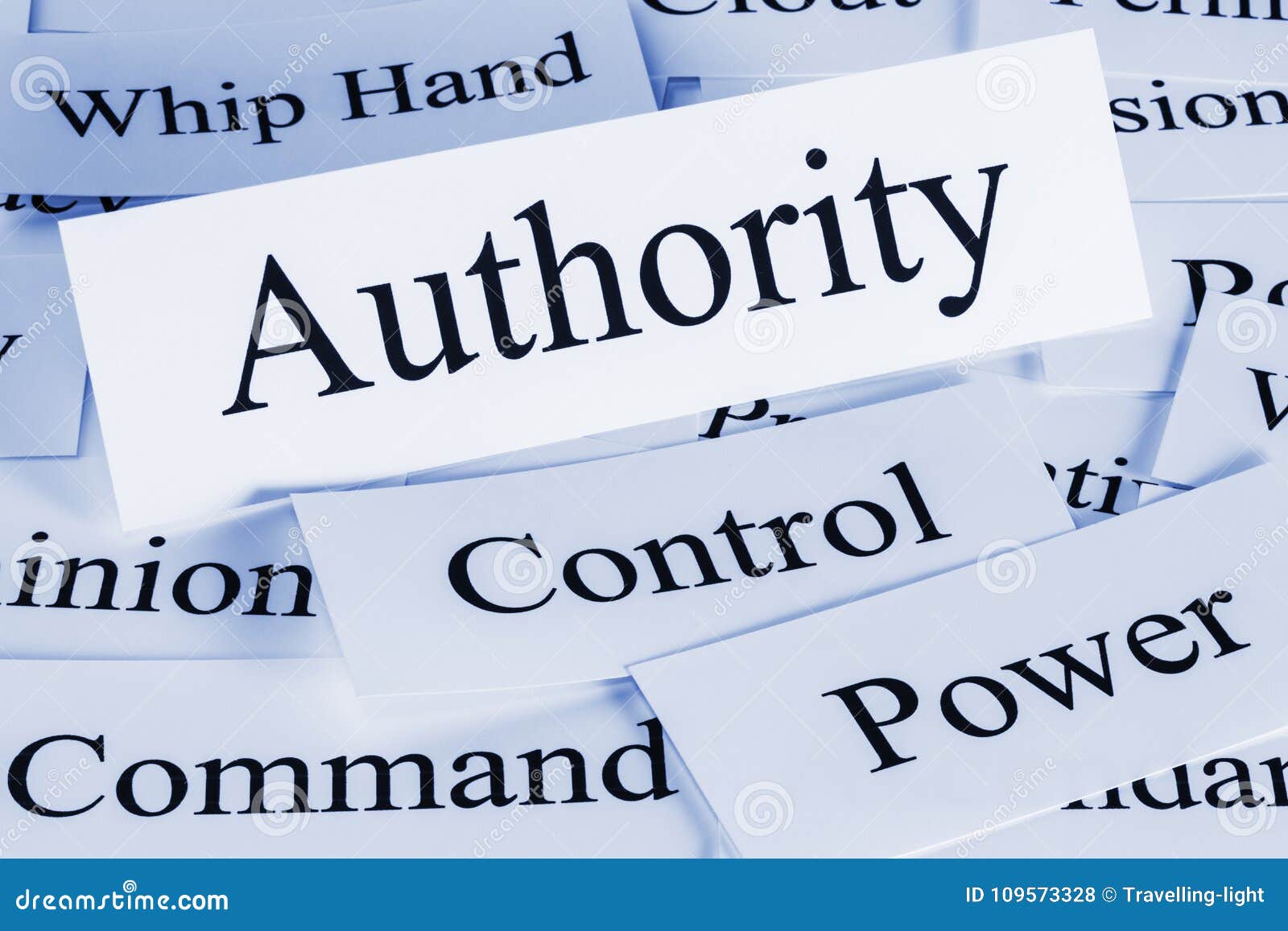 authority concept words