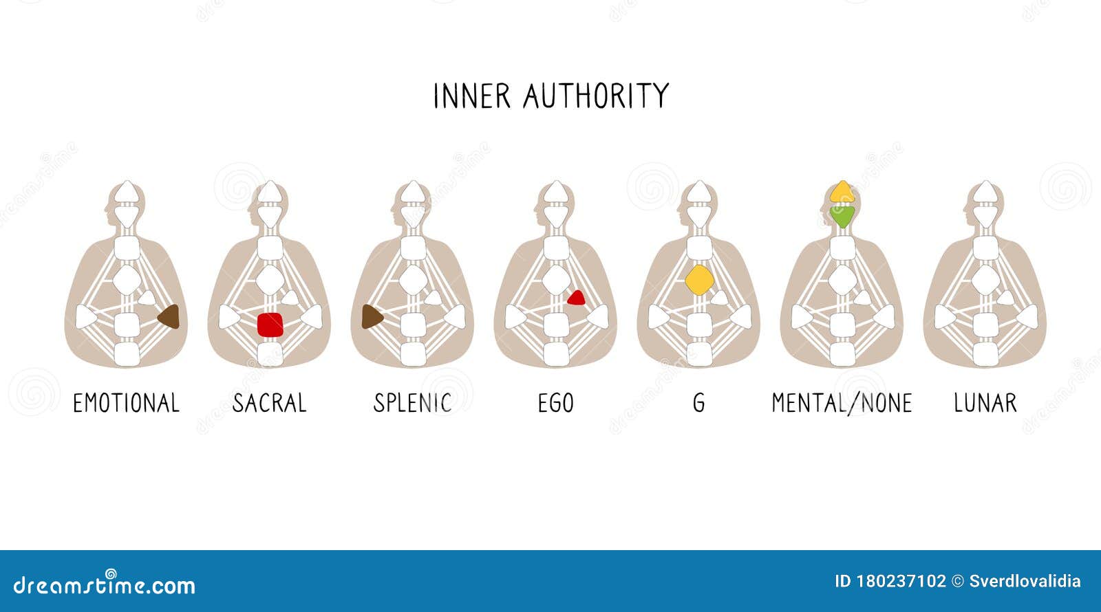 authority types. human  bodygraph. hand drawn bodygraph chart . 