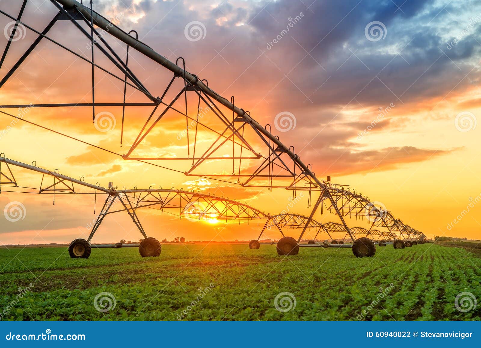 automated farming irrigation system in sunset