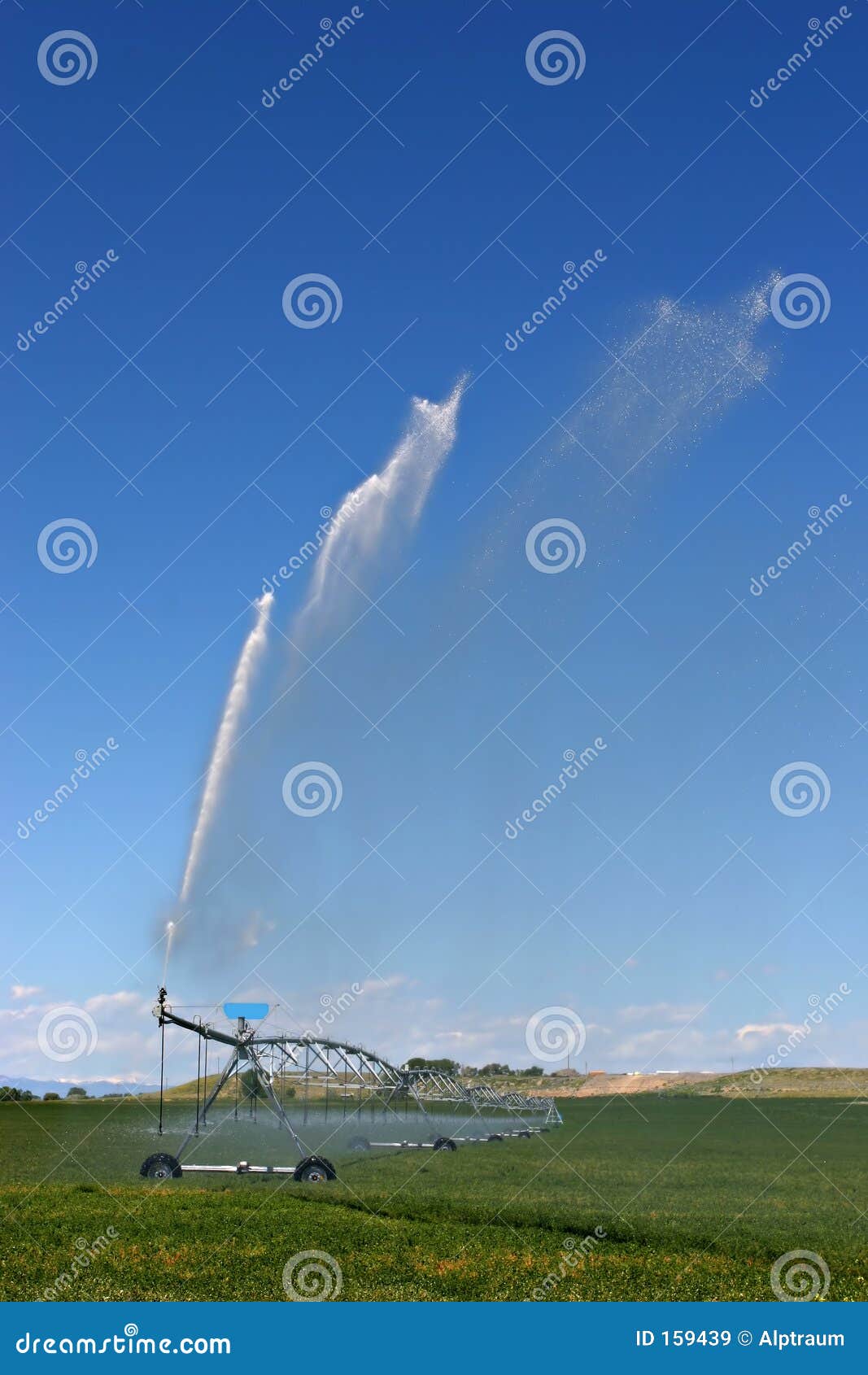 Irrigation System Garden Automatic Watering System And Pipe. Royalty