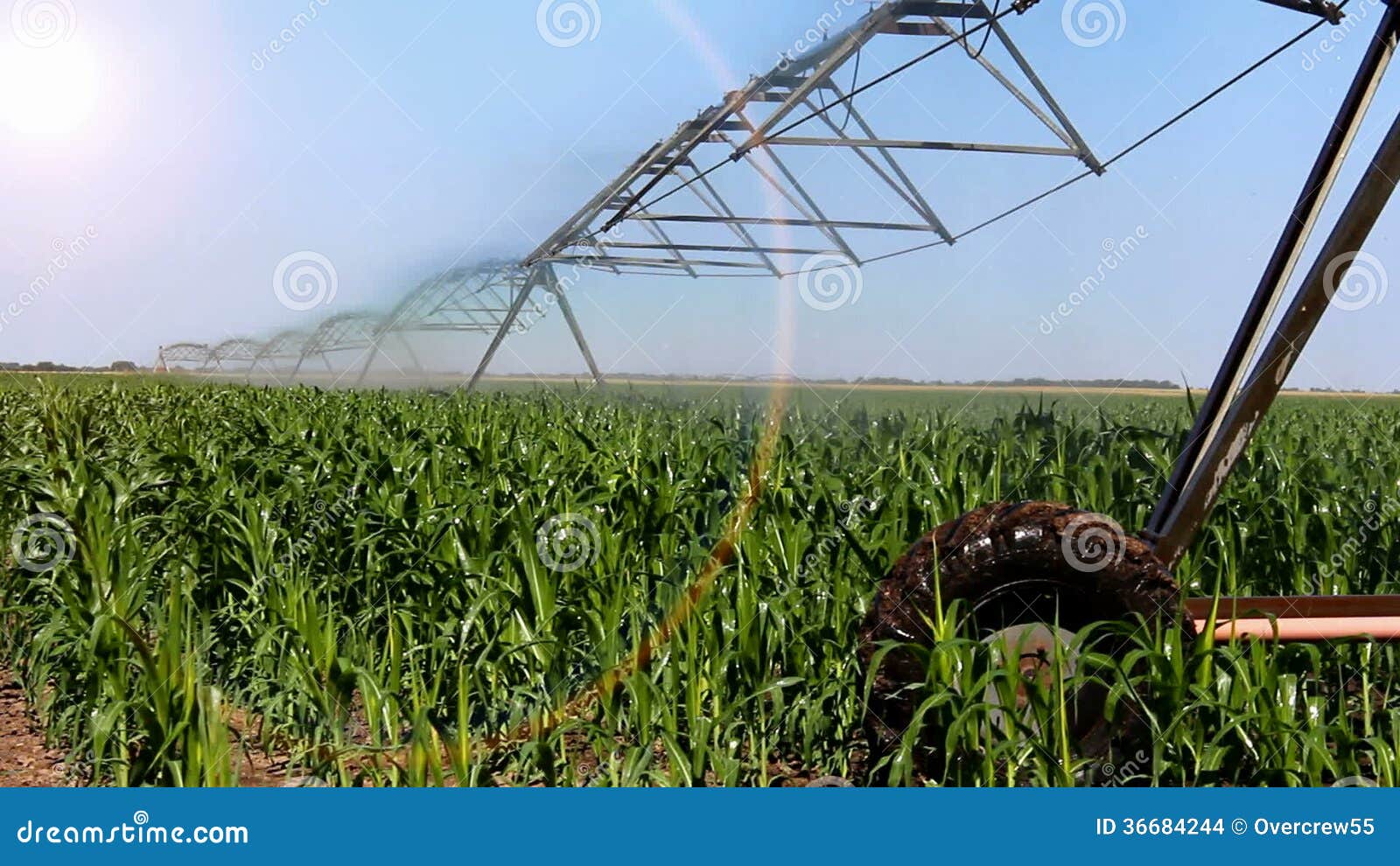 Irrigation System Stock Footage & Videos 6,739 Stock Videos