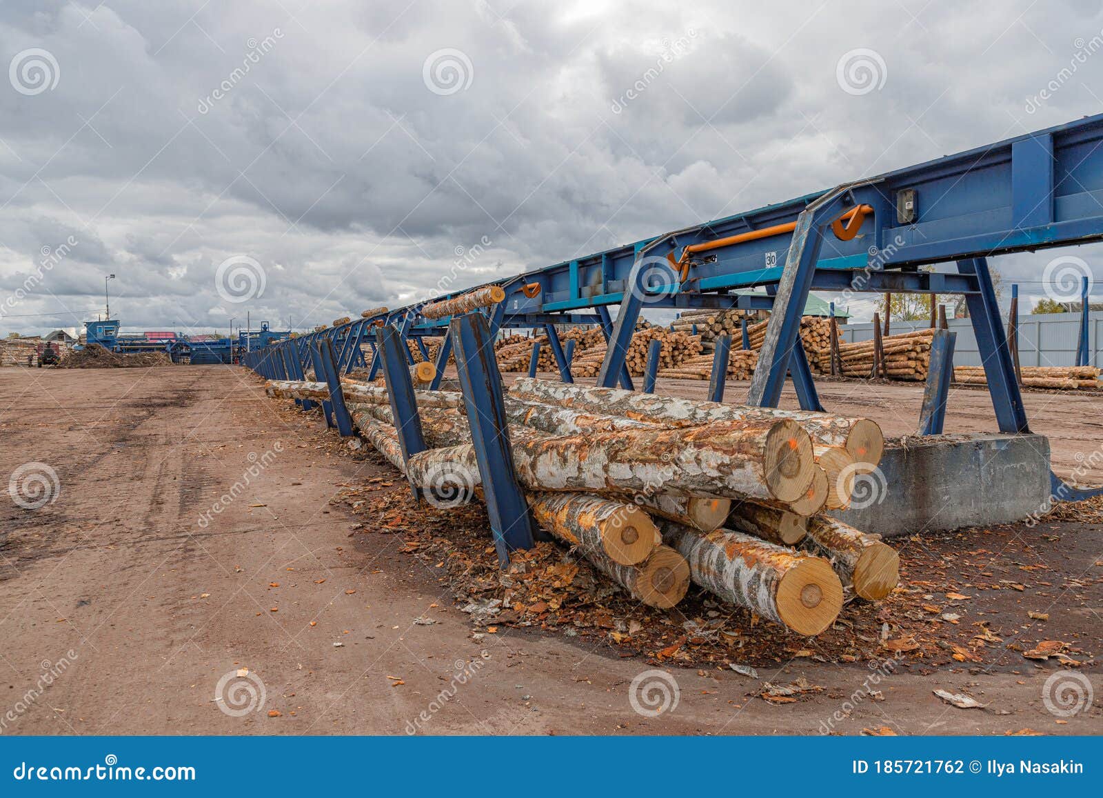 Automated Log Sorting Line. Wooden Beam on Conveyor, Wood Processing at