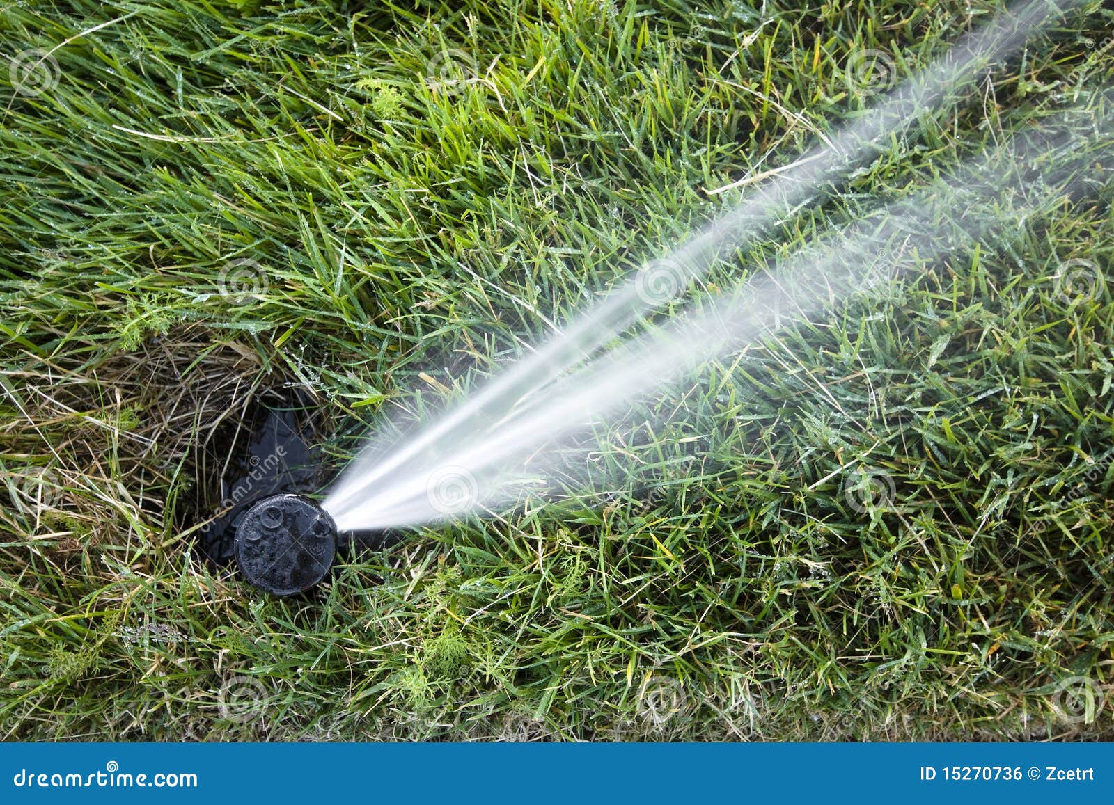 Automated Underground Sprinkler Stock Photo Image of trim, sprinkler