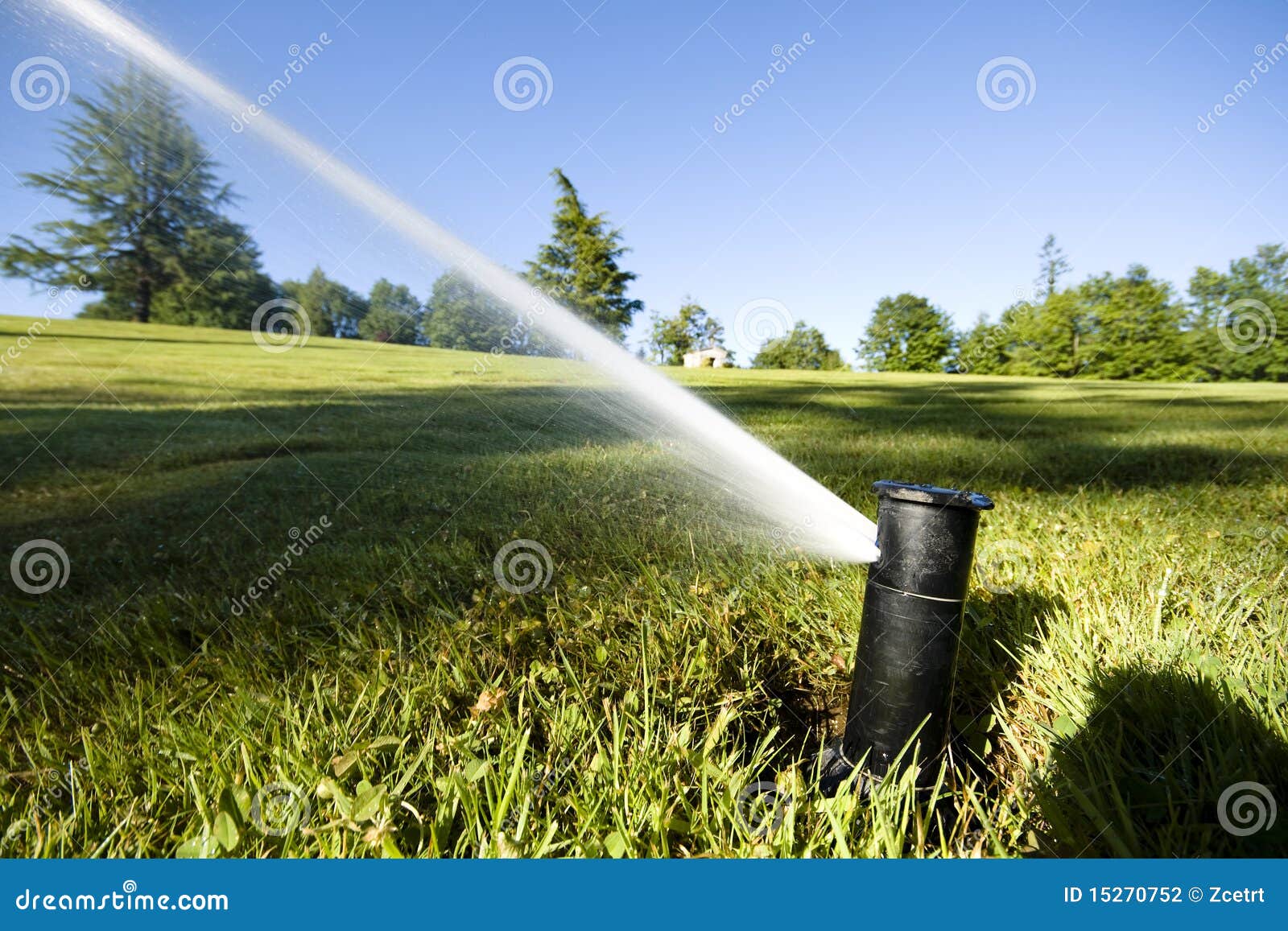 Automated Underground Sprinkler Stock Photo Image of irrigation