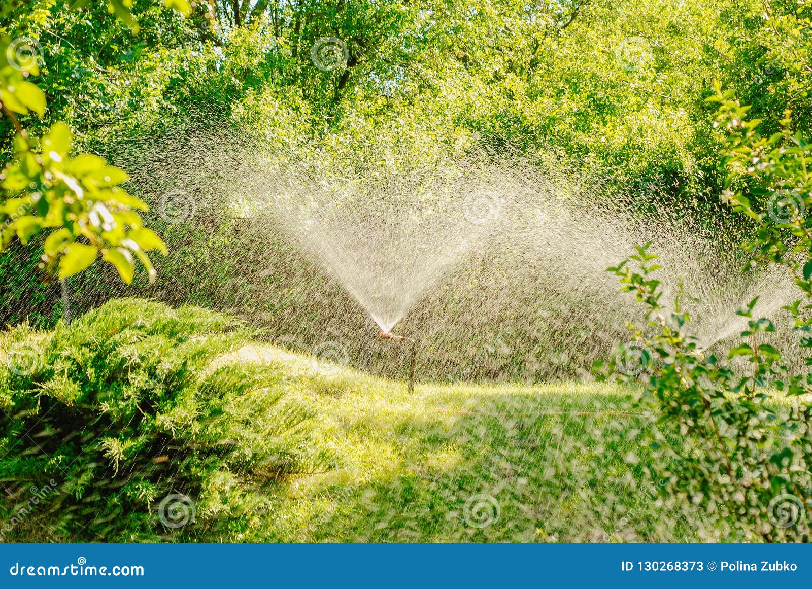 Automatic Garden Lawn Sprinkler in Action Watering Grass. Stock Image