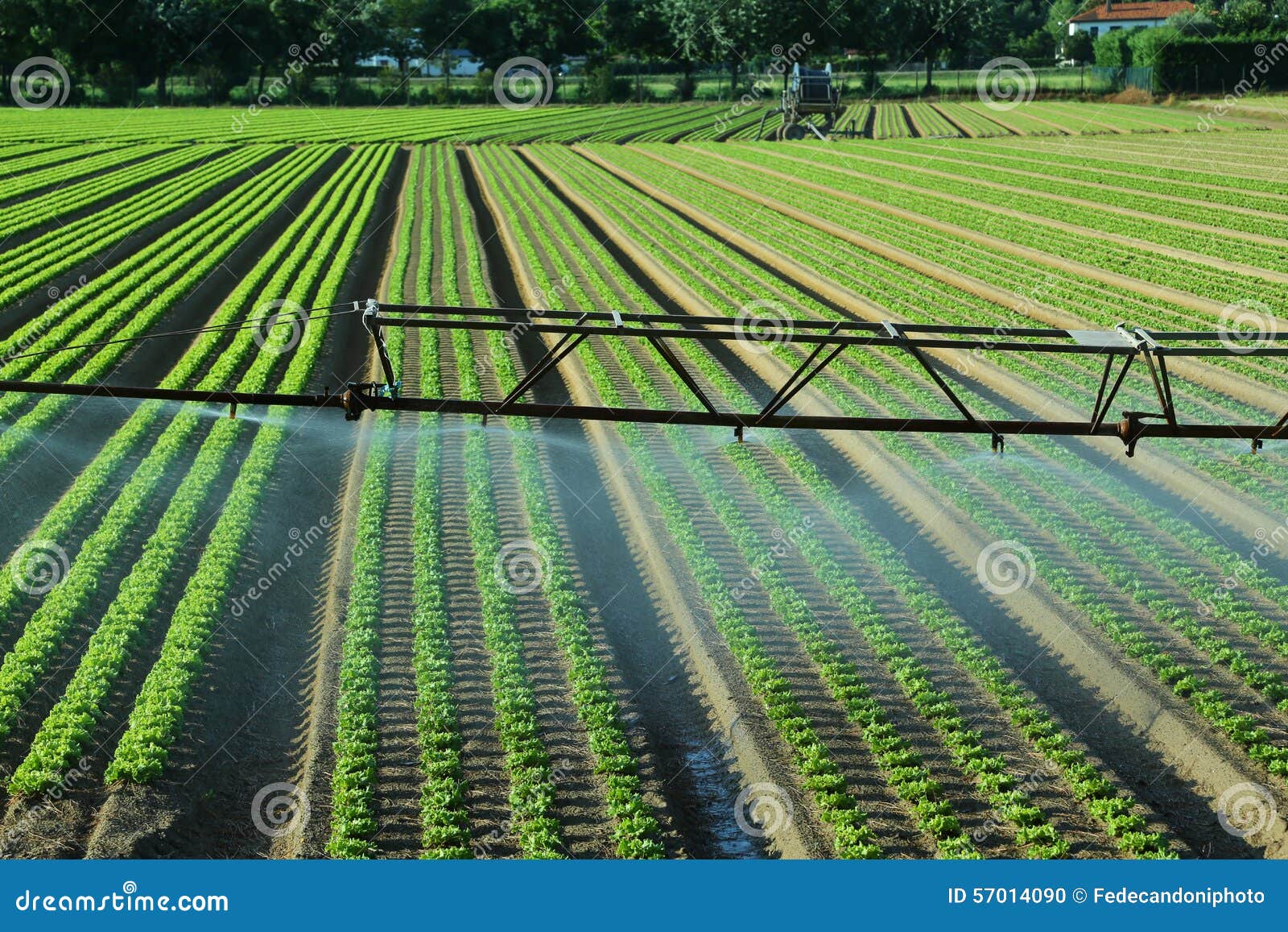 Automatic Irrigation System in the Field Stock Photo Image of farm