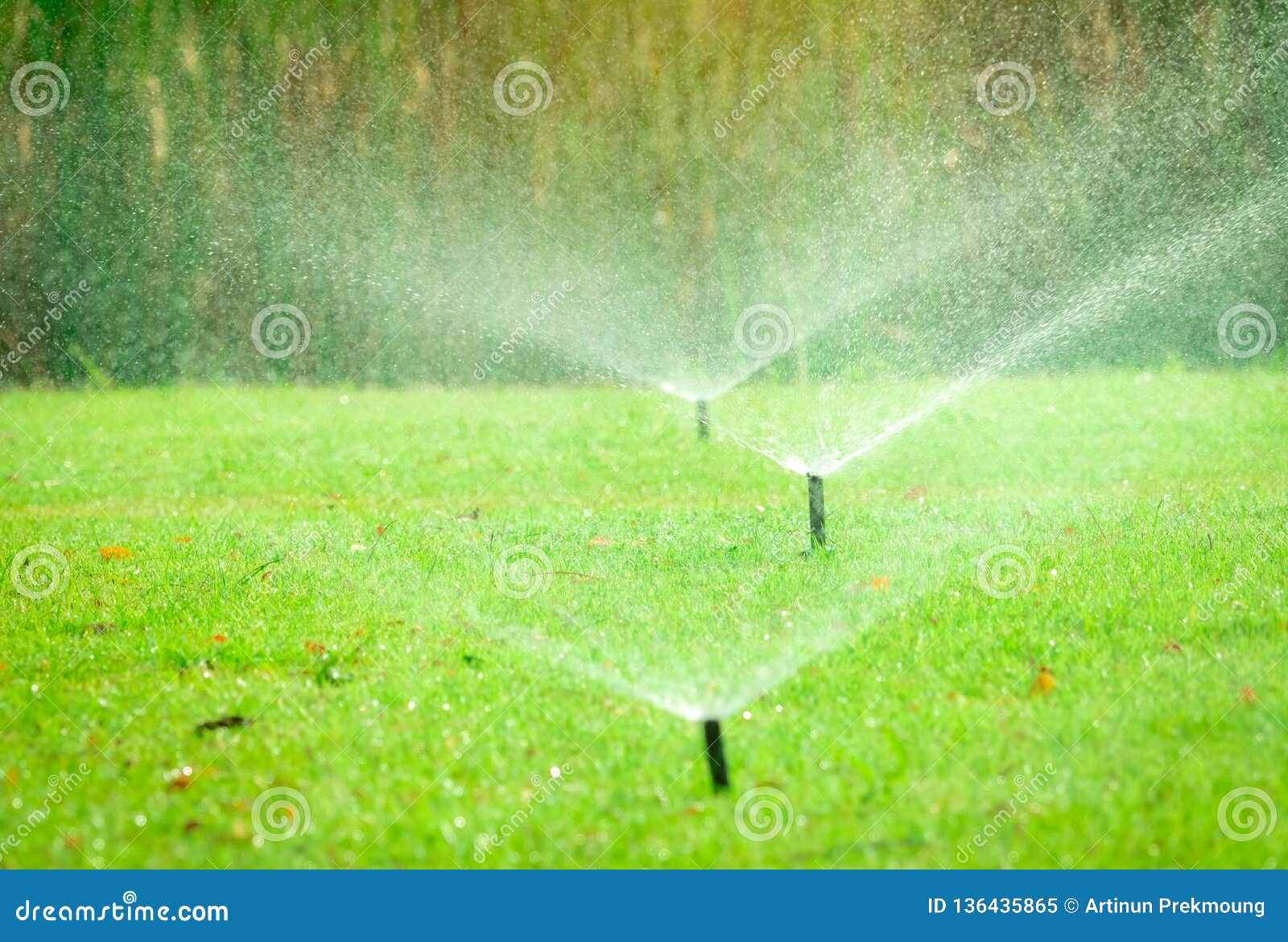 Residential Irrigation System