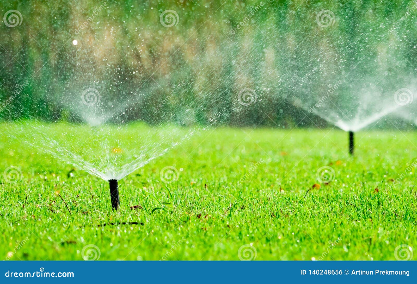 Automatic Lawn Sprinkler Watering Green Grass Sprinkler With
