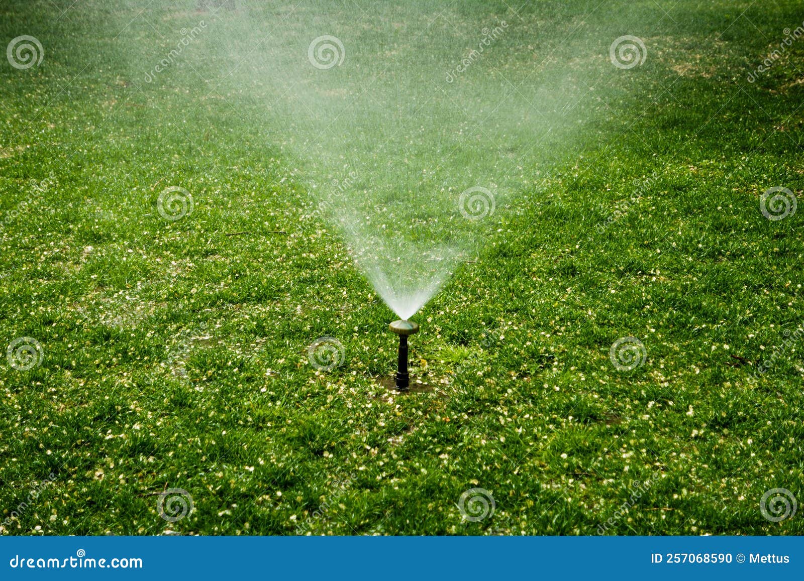 Automatic Sprinkler System Spread Water Spray in Garden on Lawn Stock