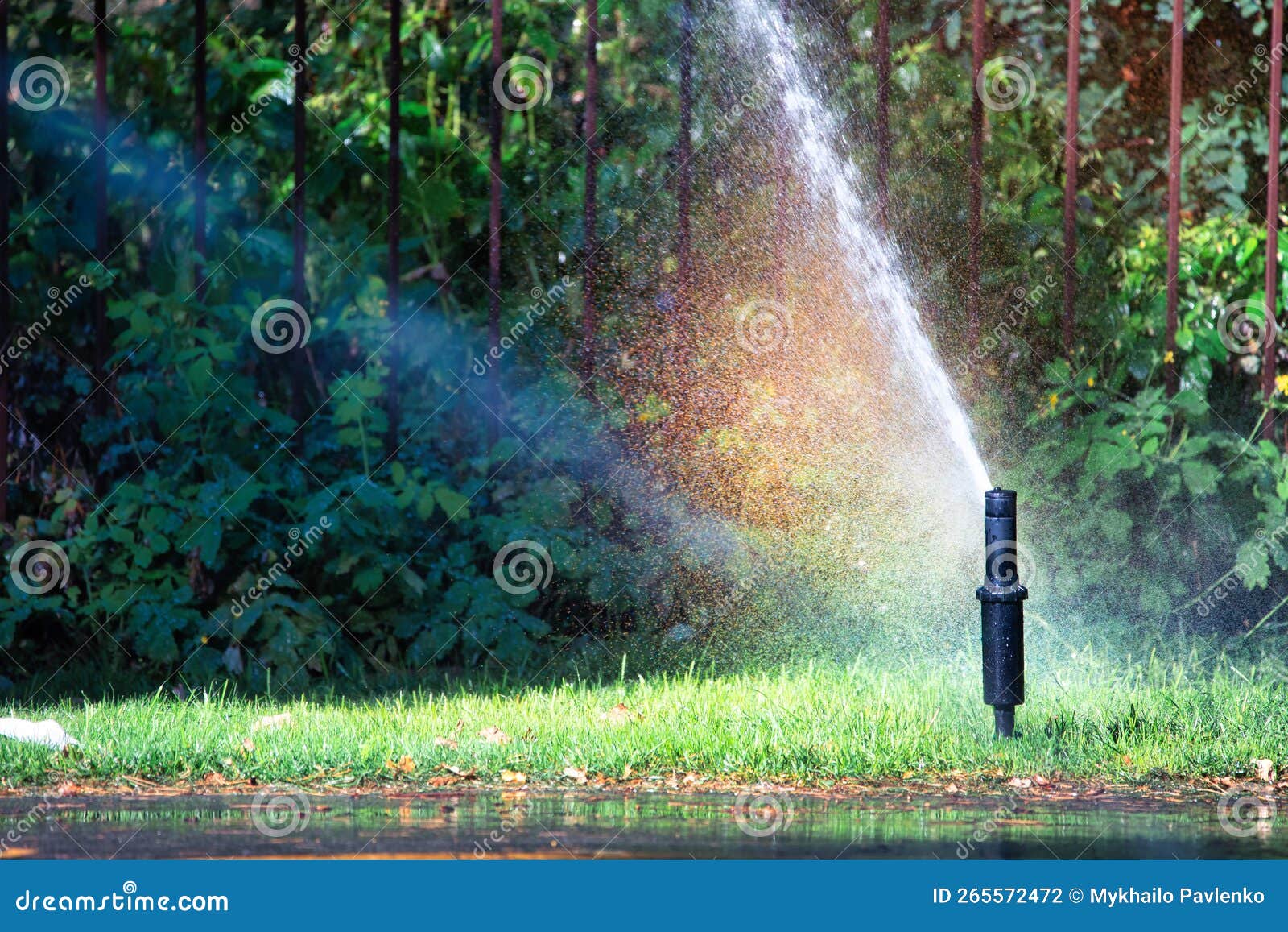 Automatic Sprinkler System Watering the Lawn Close Up Stock Photo