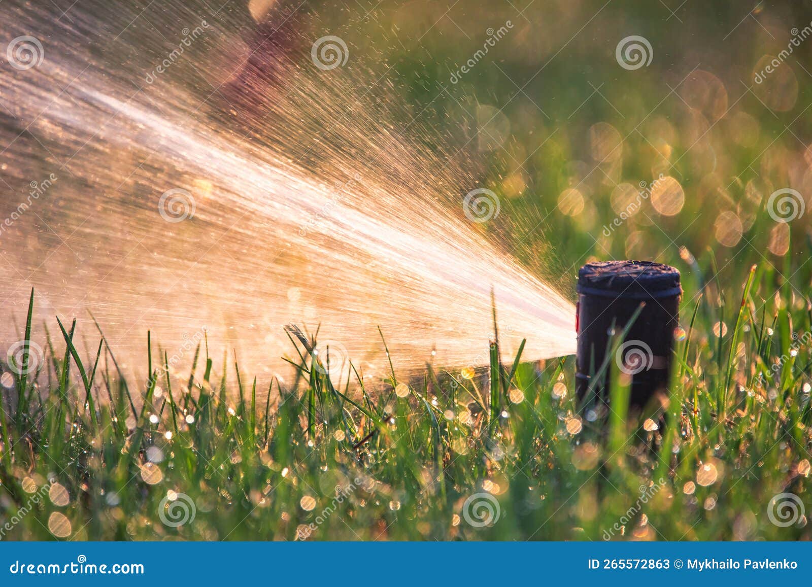 Automatic Sprinkler System Watering the Lawn Close Up Stock Image