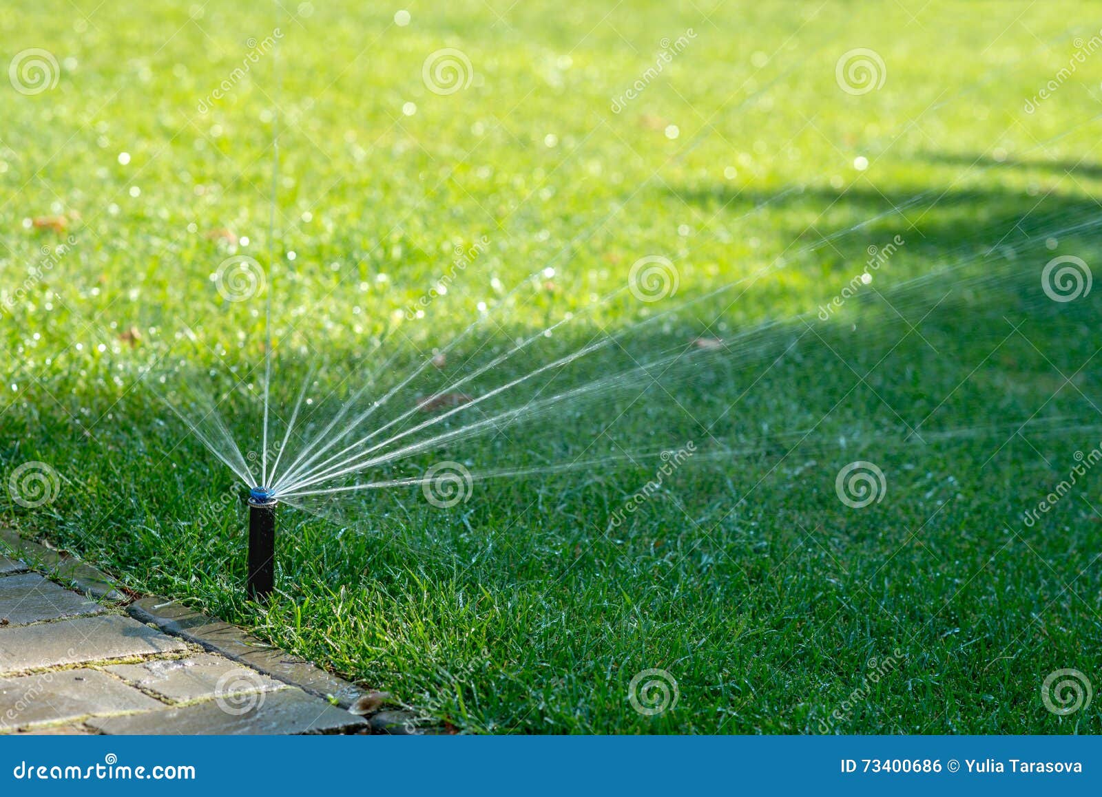 Automatic Watering Lawns. Gardening and Landscapeing. Stock Photo
