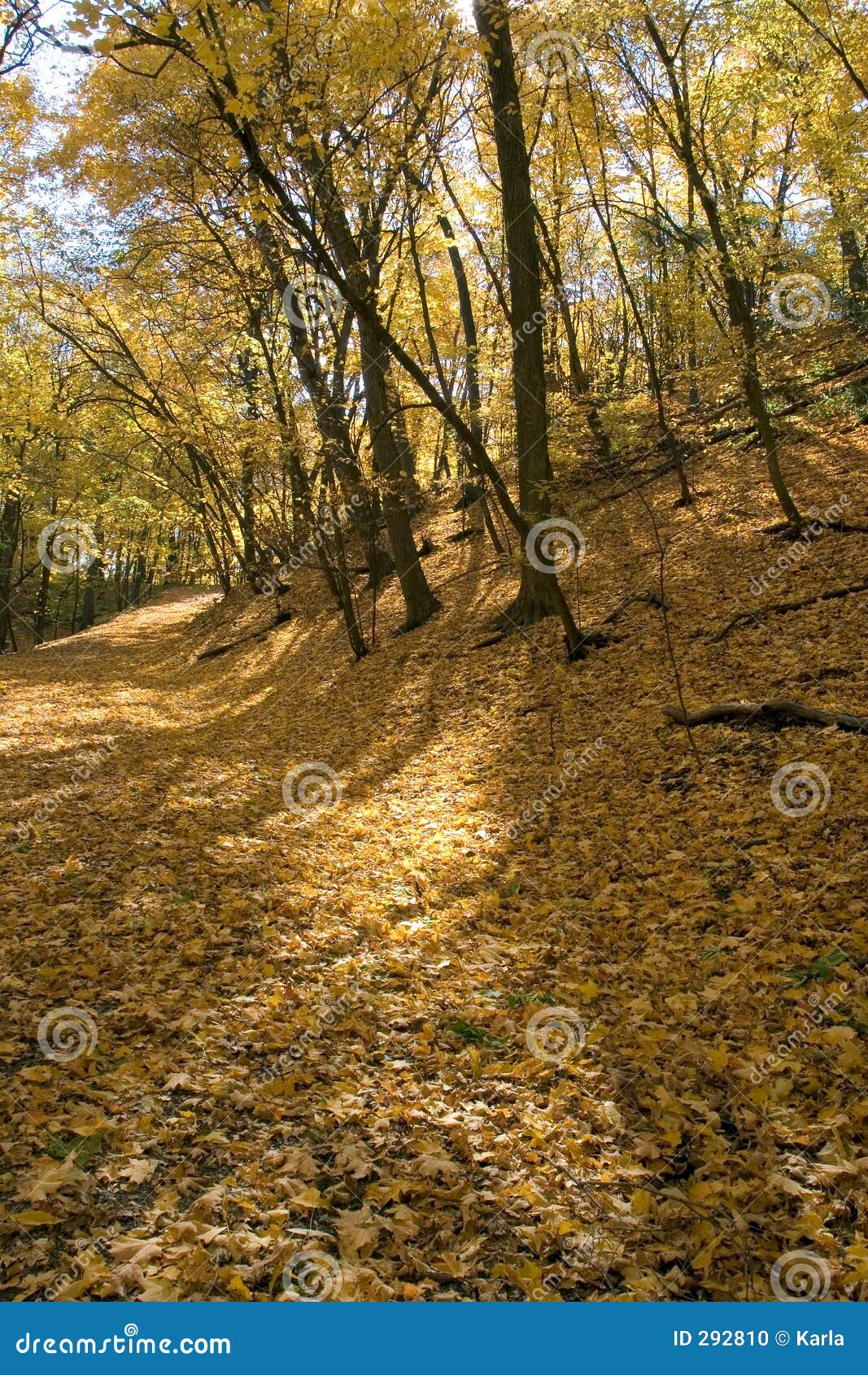 Automne le long du Fleuve Mississippi À Minneapolis. Horizontal de forêt d'automne