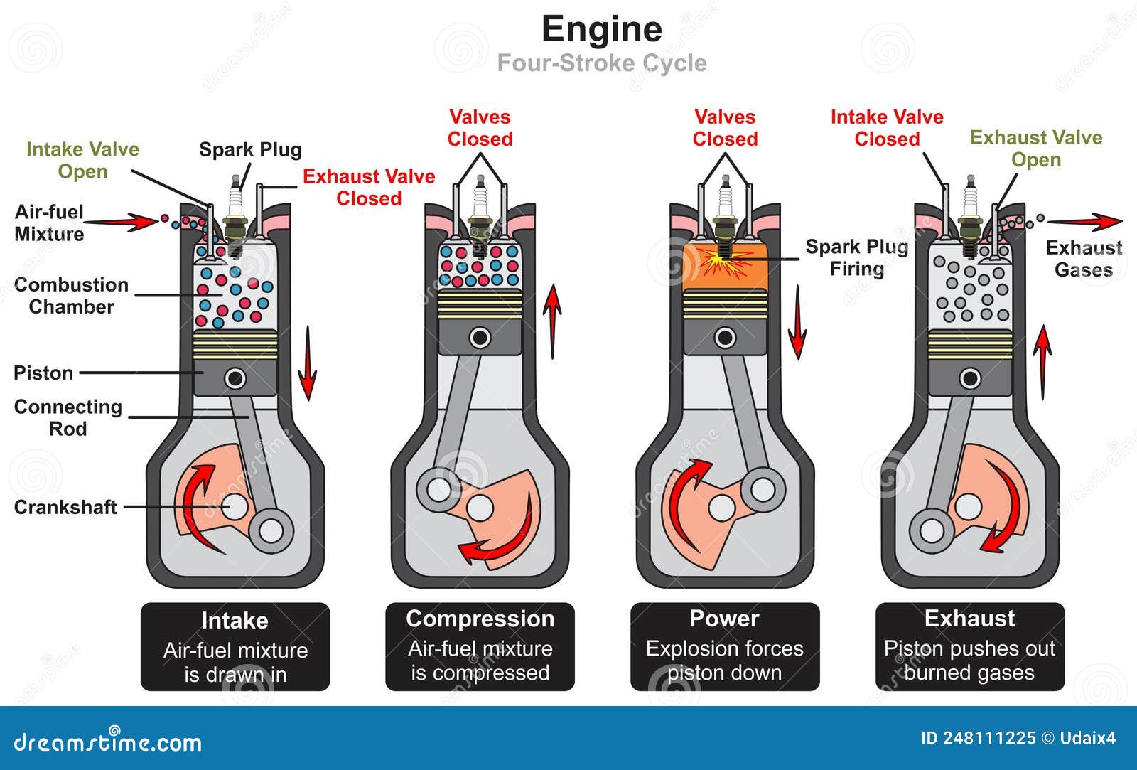 Automobile Car Engine Four Stroke Cycle Infographic Diagram Cartoon Automobile Car Engine Four Stroke Cycle Infographic Diagram Cartoon