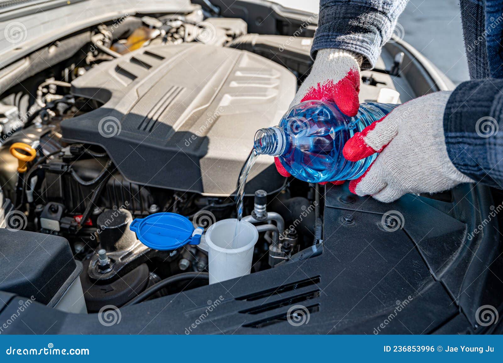 Automobile Maintenance. Filling the Windshield Washer Fluid on a Car