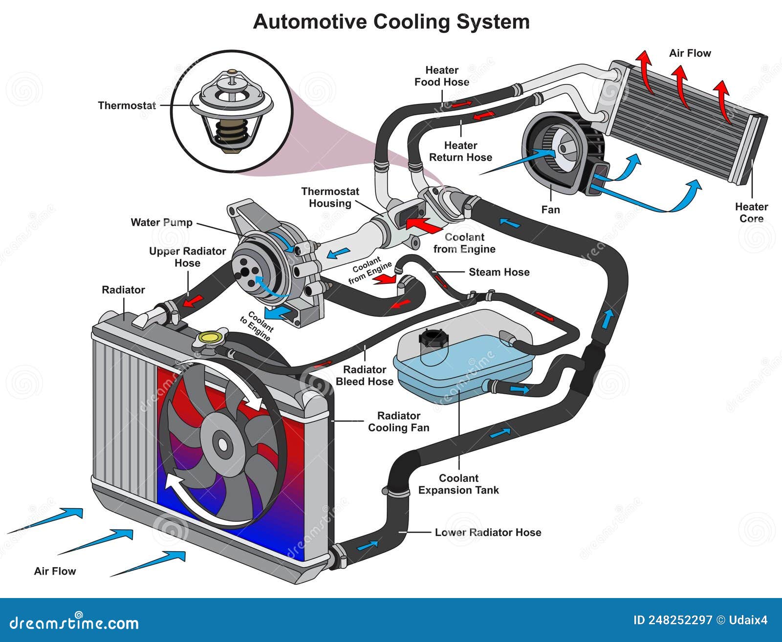 automotive car cooling system infographic diagram mechanics dynamics engineering