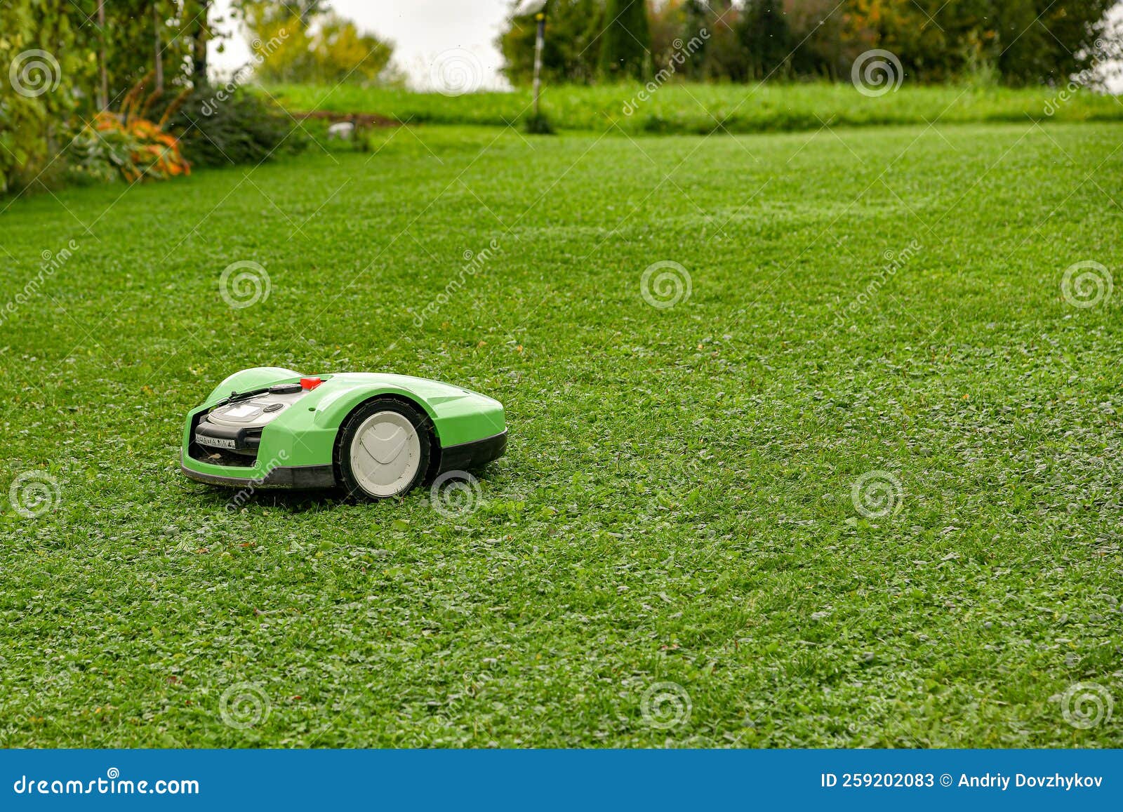 Autonomous Electric Lawn Mower Mows Grass in the Yard of a Private