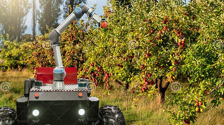 Autonomous Robot Harvester with Robotic Arm Harvesting Apples on a ...