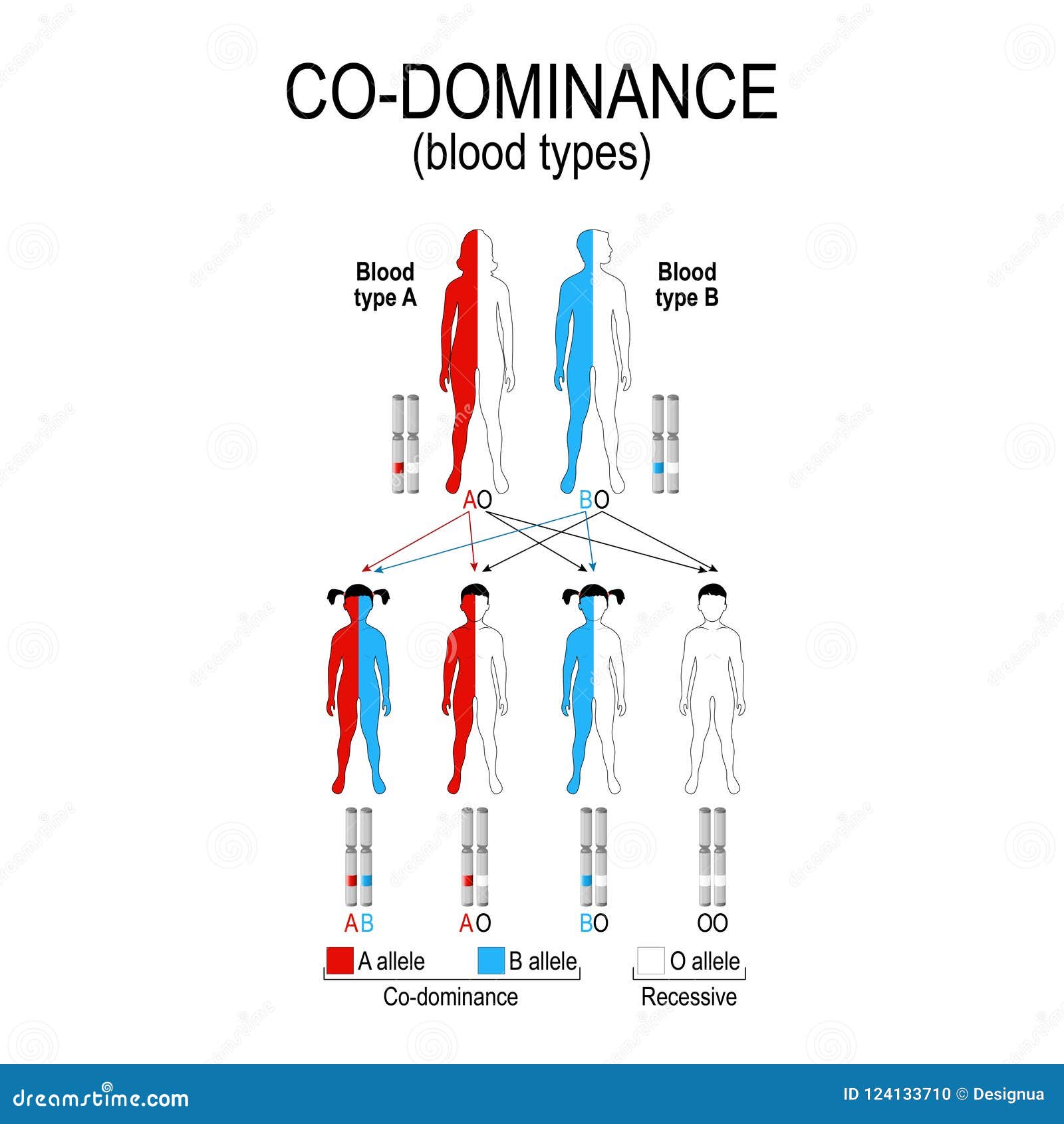 Autosomal Dominant