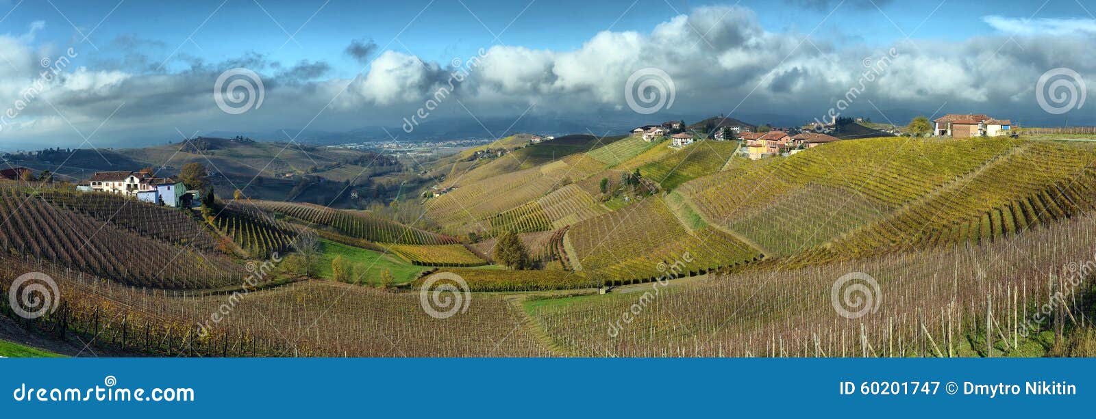 Auttumn dos vinhedos de Piedmont. Vinhedos de Piedmont na queda após a colheita