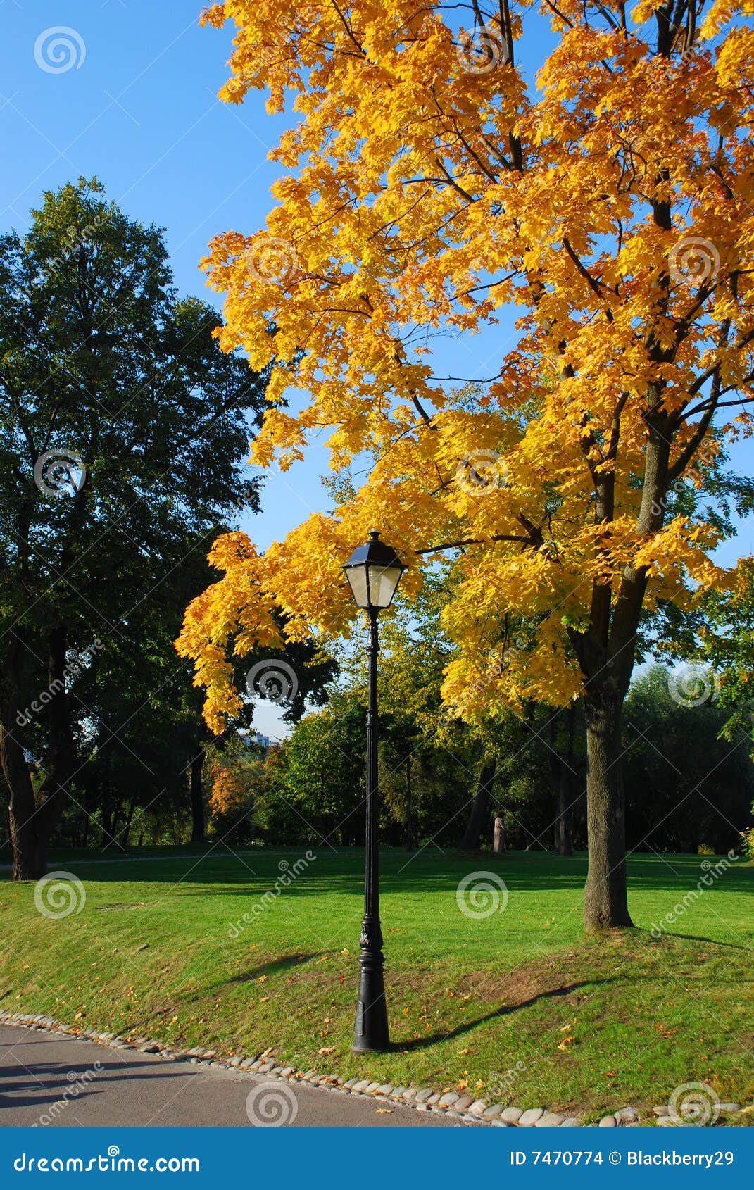 Autumn stock photo. Image of leaf, nature, electric, autumn 7470774