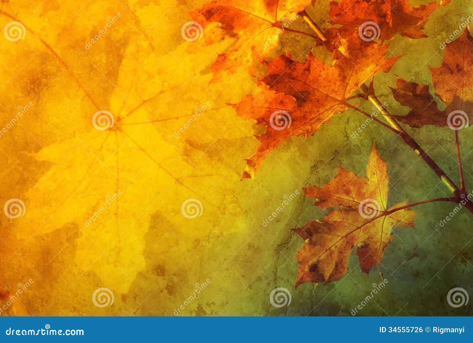 autumn abstract