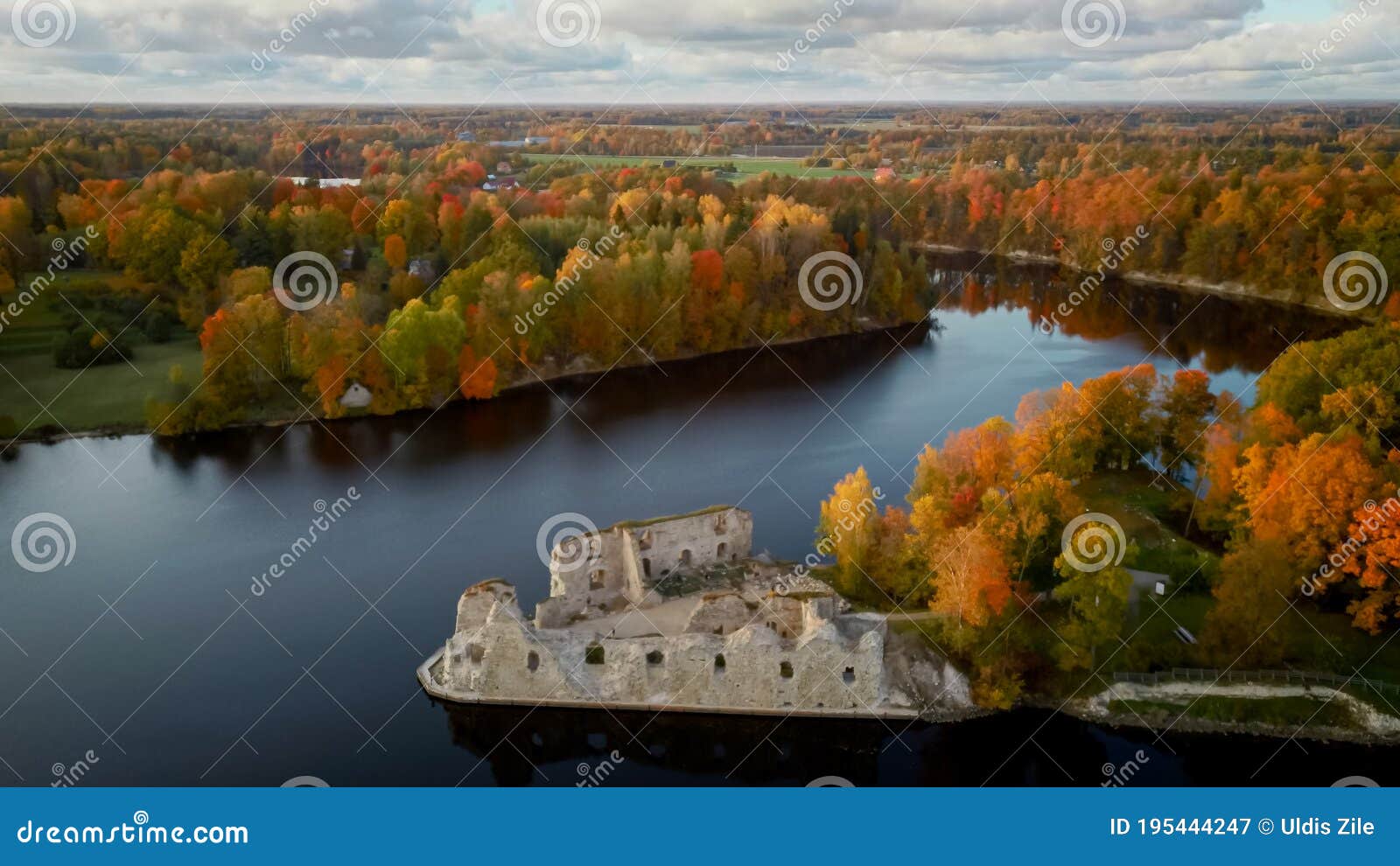autumn aerial landscapeof old koknese castle ruins and river daugava located in koknese latvia.