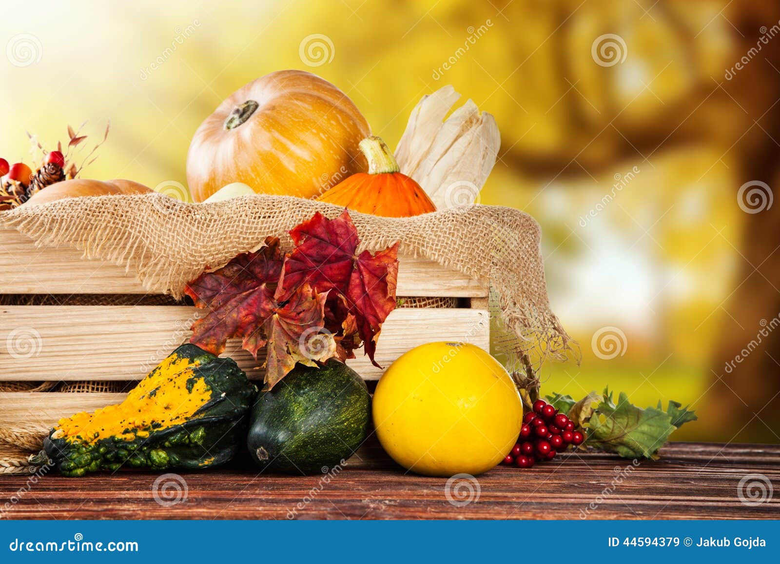 Autumn Agriculture Products on Wood Stock Image - Image of harvest ...