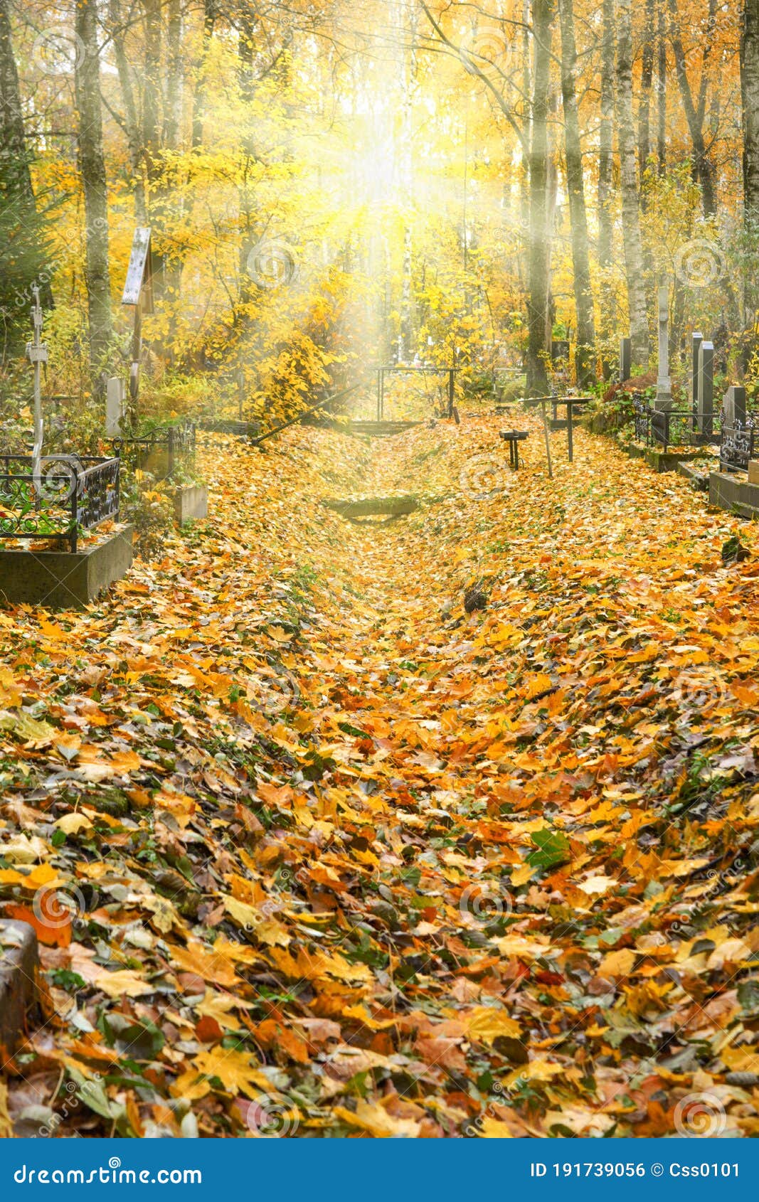 Autumn Alley Withfallen Leaves of Ancient Christian Cemetery Landscape