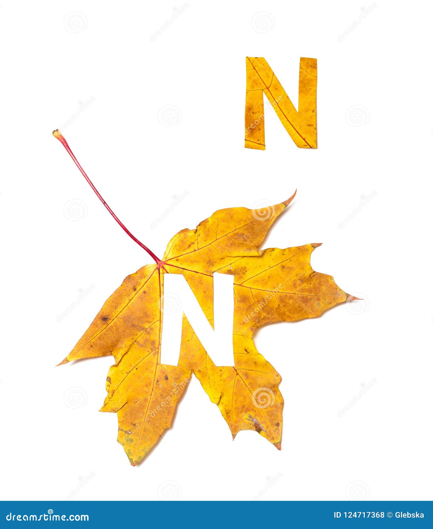 Autumn Alphabet. Letter N is Cut from Yellow Maple Leaf Stock ...