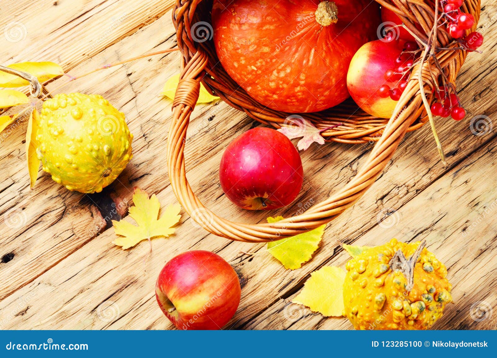 Autumn apples and pumpkin stock photo. Image of natural - 123285100