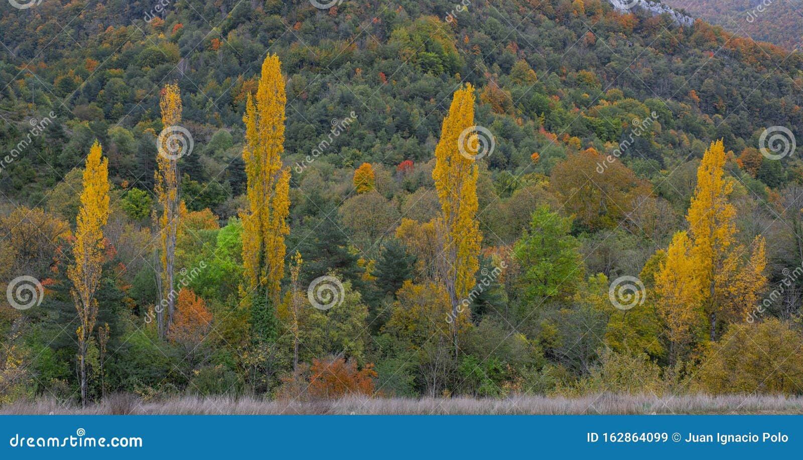 autumn in the arce valley, pyrenees of navarra