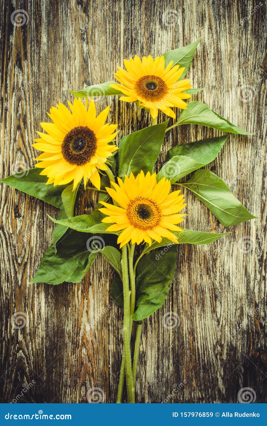 Autumn Background with a Bouquet of Yellow Sunflowers on Vintage ...