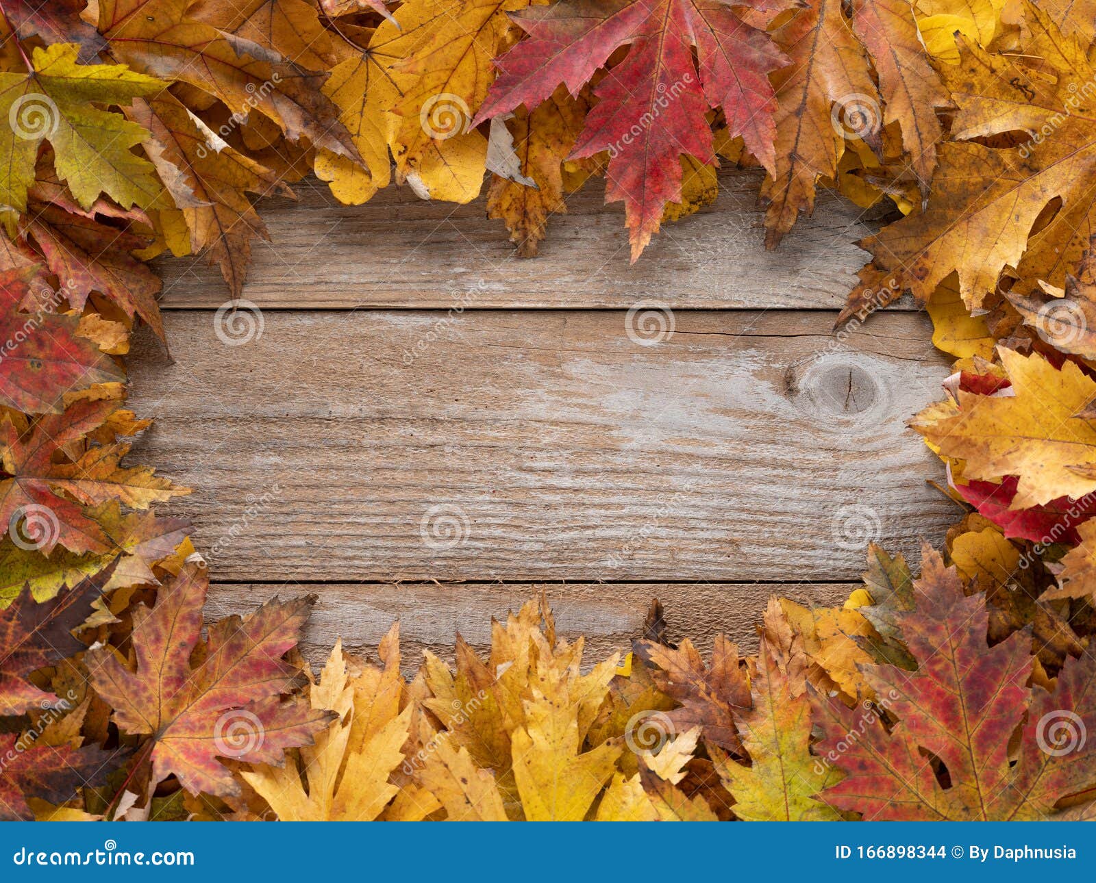 colorful leaf with writing space on wooden table