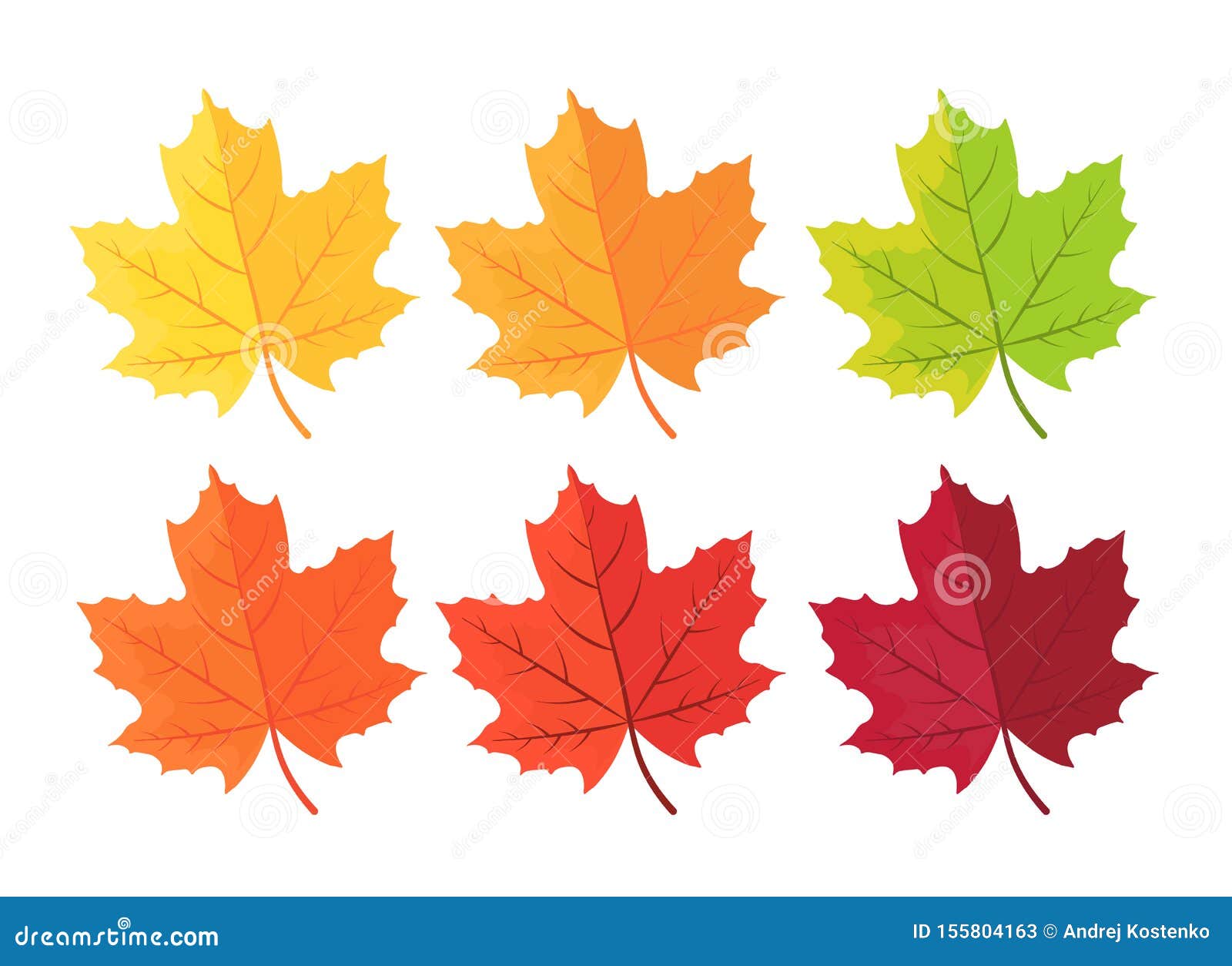 Set of maple leaves / Black maple leaves clipart set