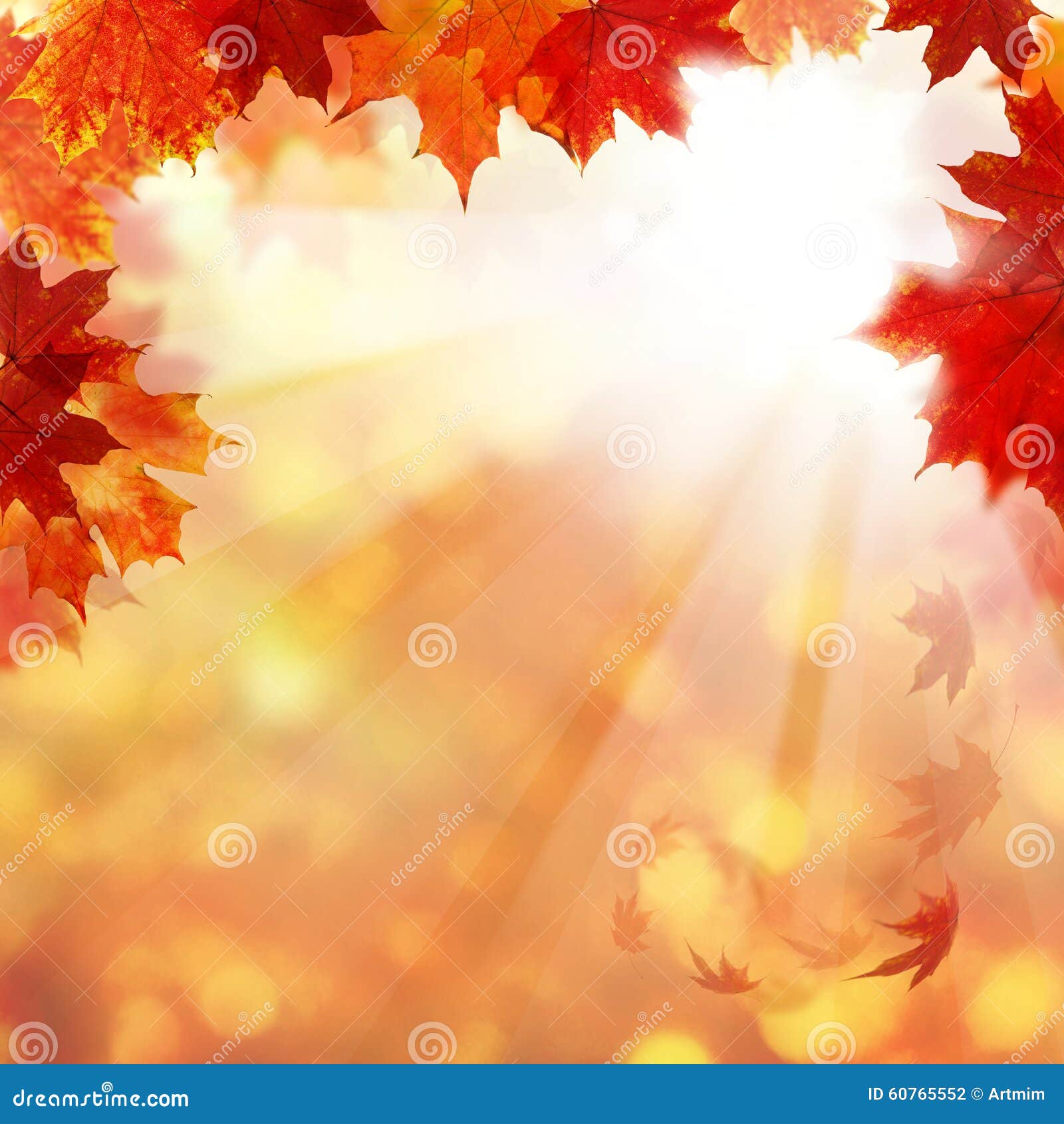 autumn background with maple leaves and sun ligth