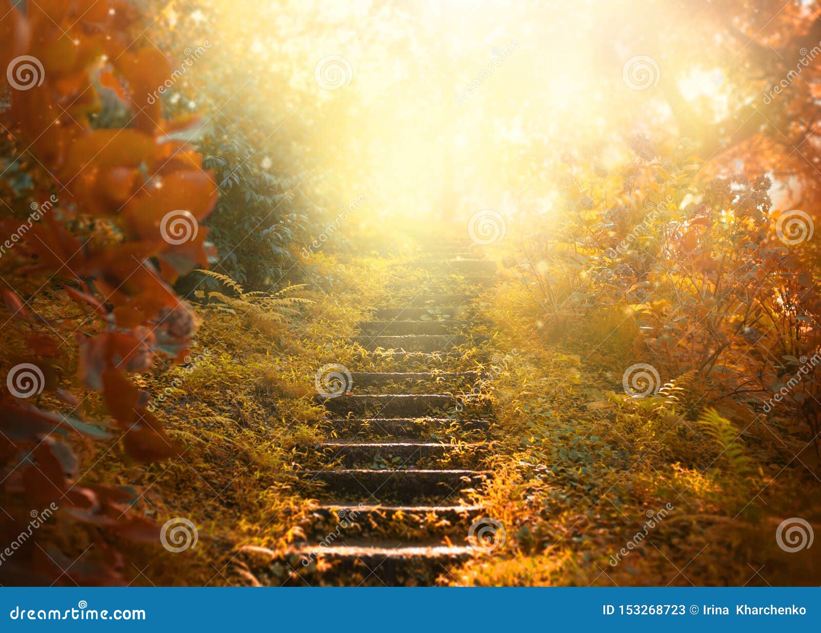 autumn background, stairs to the sky. amazing mysterious road steps
