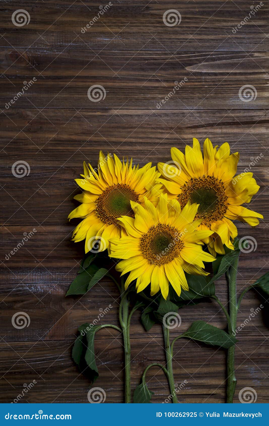 Autumn Background with Sunflowers Stock Image - Image of backdrop ...