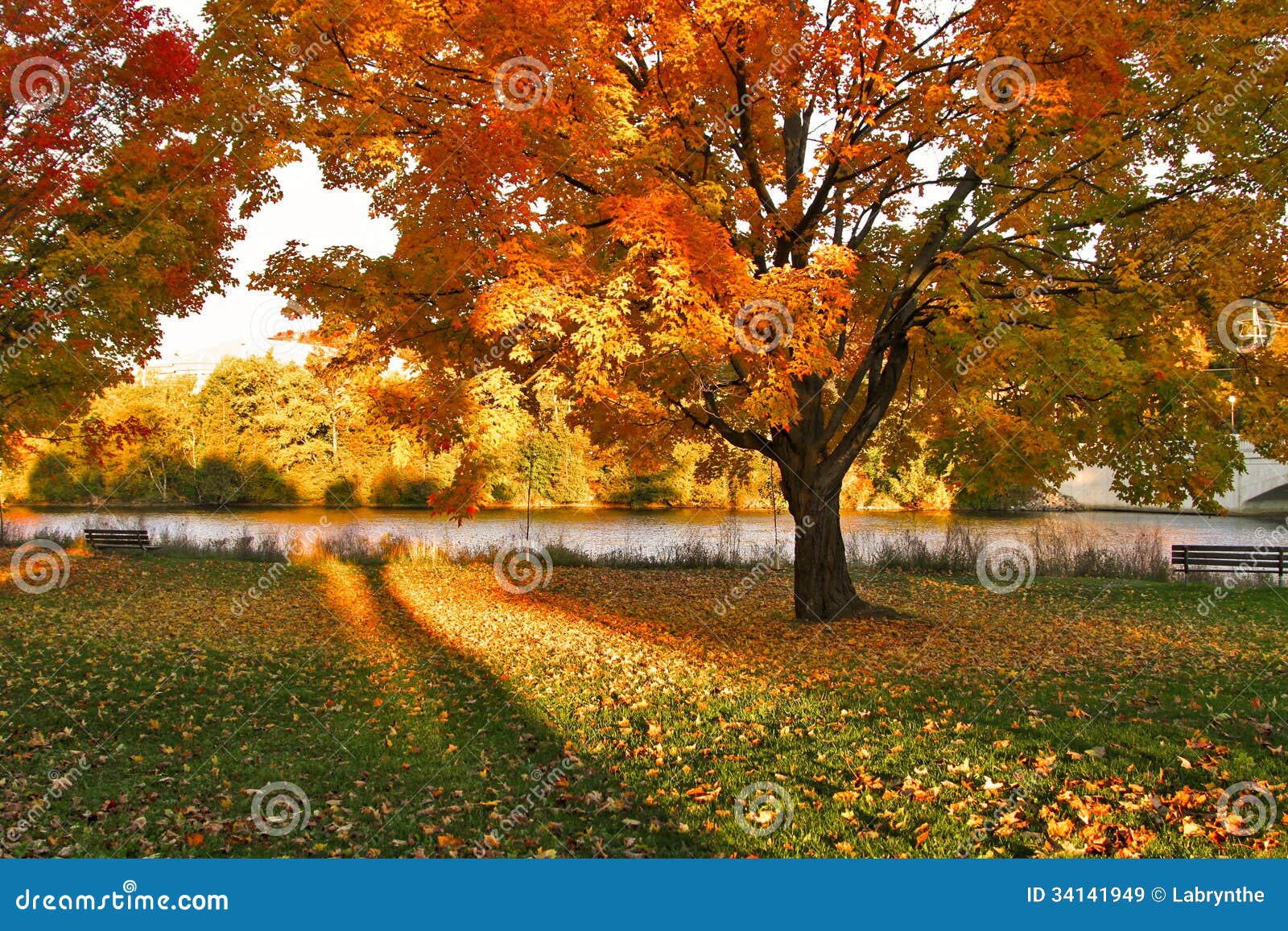  Autumn  Royalty Free Stock Images Image 34141949