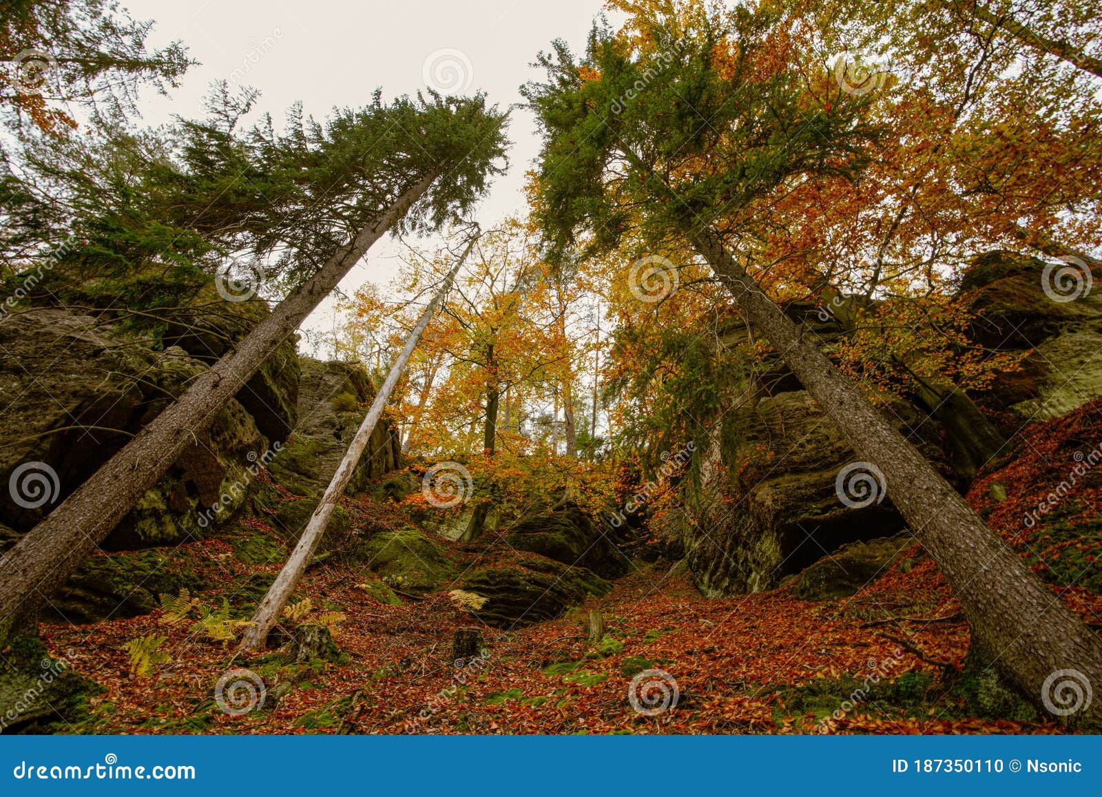 autumn in bohemian switzerland, czech republic