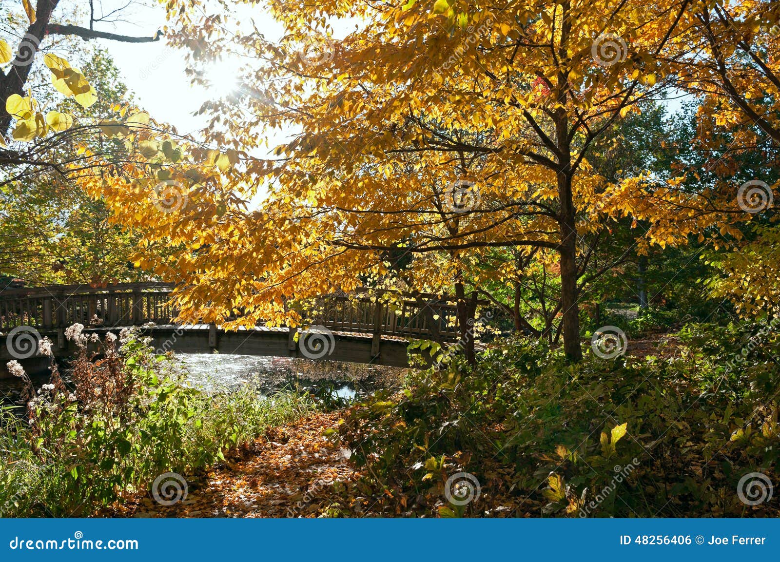 Autumn At Botanical Gardens In Madison Stock Photo Image Of