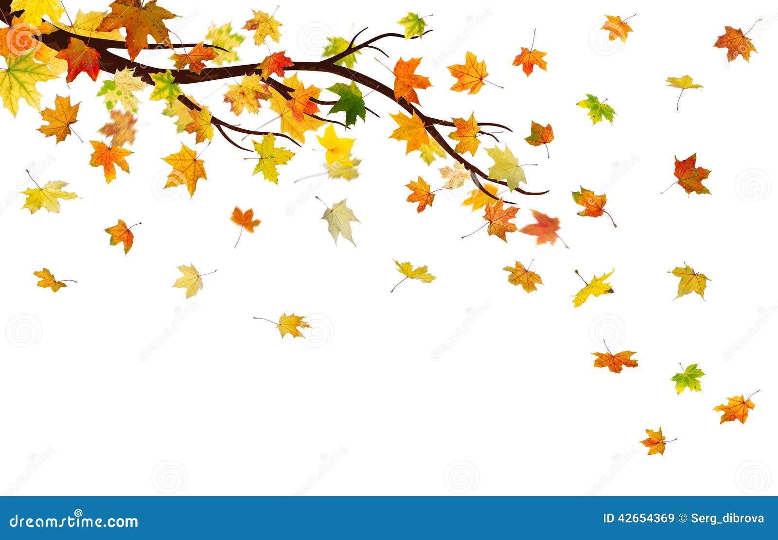 Autumn branch stock illustration. Illustration of gold - 42654369