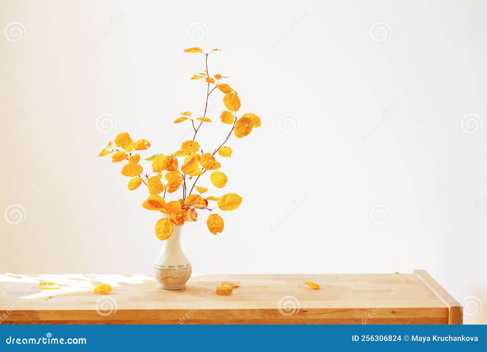 Branches with Orange Leaves in Vase on White Background Stock Photo