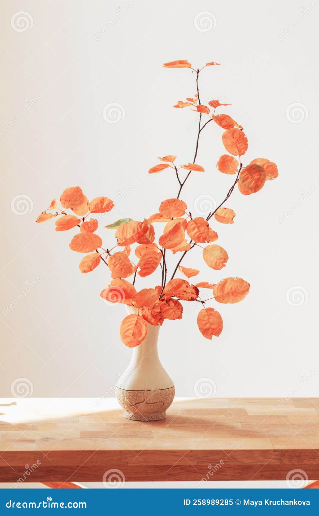 Branches with Orange Leaves in Vase on White Background Stock Image